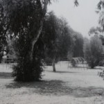 Park nabij Jaffa, daaronder de begraafplaats van Salama (uit: Ilan Pappe, De etnische zuivering van Palestina)