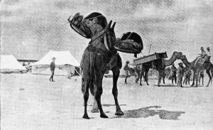 2J1 - Britse _ambulance_ in de Sinaï, rond WO I