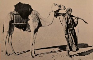 De Engelse ontdekkingsreiziger Wilfred Thesiger doorkruist de Rub al Khali kort voor de eerste olieboringen in de jaren '50 van de twintigste eeuw